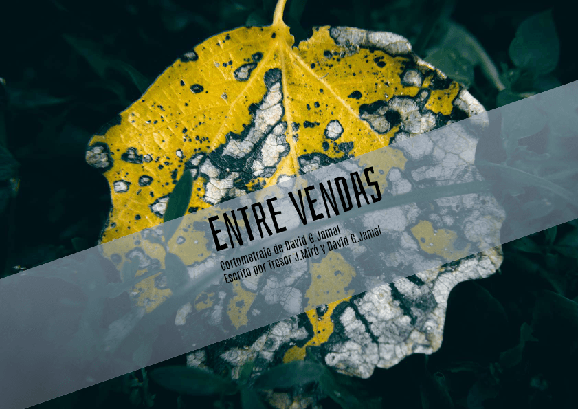 Entre Vendas